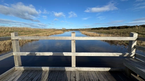 View point from wooden boardwalk overlooking a calm wetland lagoon at Sandilands Nature Reserve, with reeds lining the water, open grassland beyond and a wide blue sky with scattered clouds.